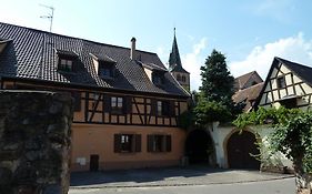 TURCKHEIM, 10 min Colmar - Gîte Coté Vignes